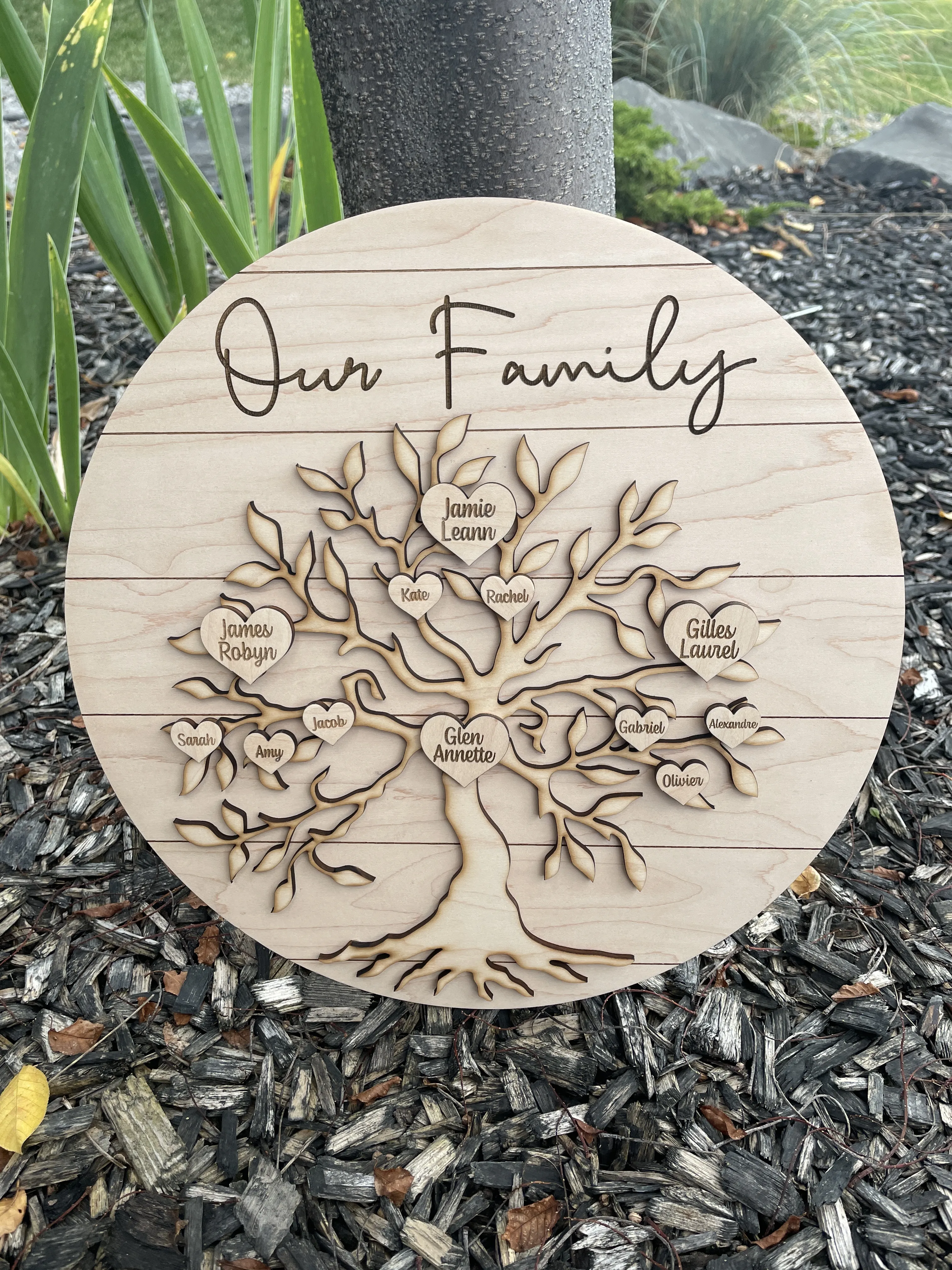 14" Our Family Tree view 5