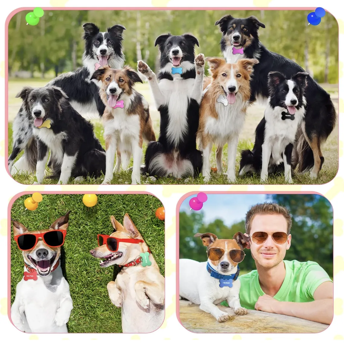 Dog Name Tag view 5