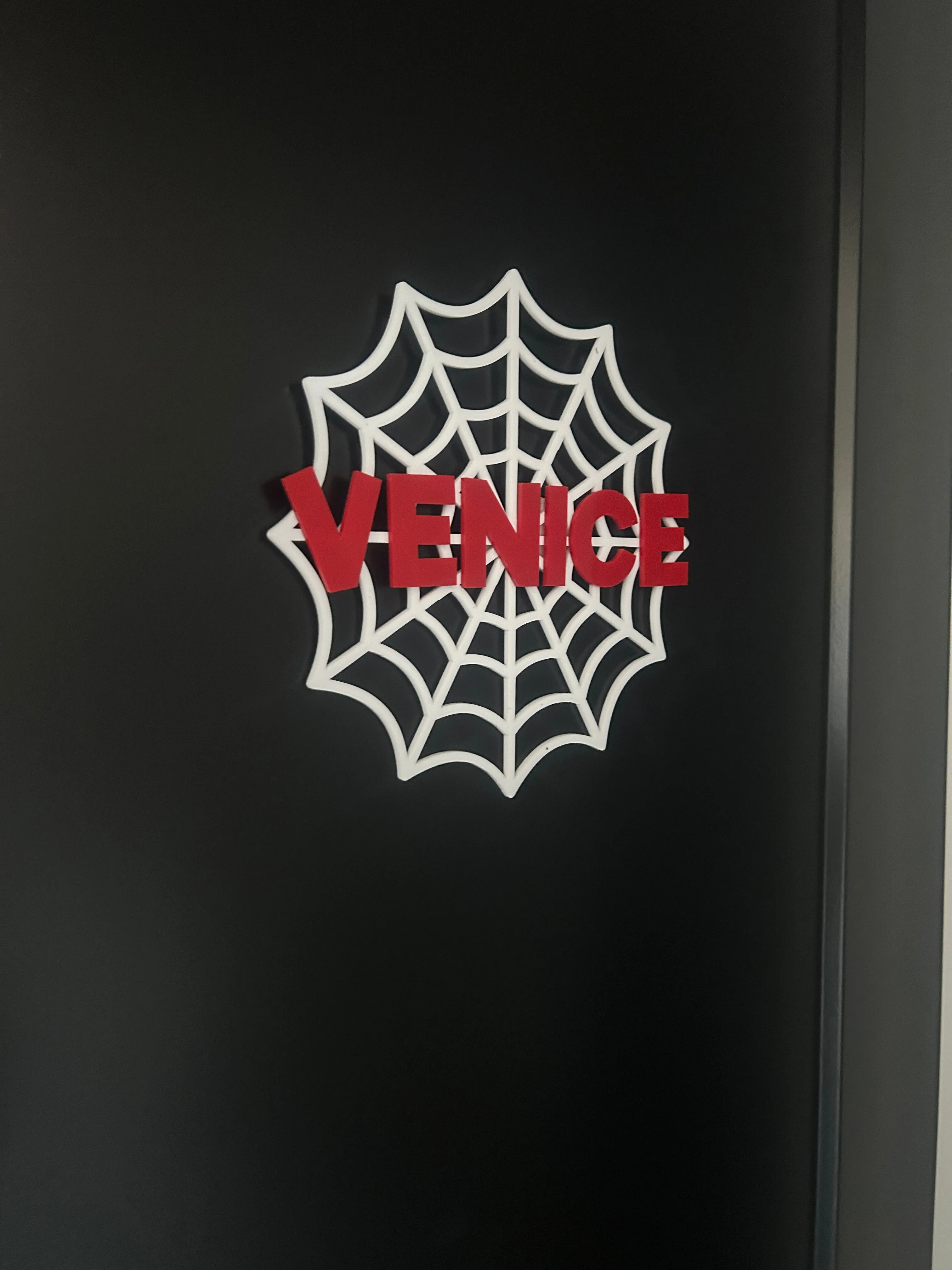 Spider Web Door Sign for bedroom